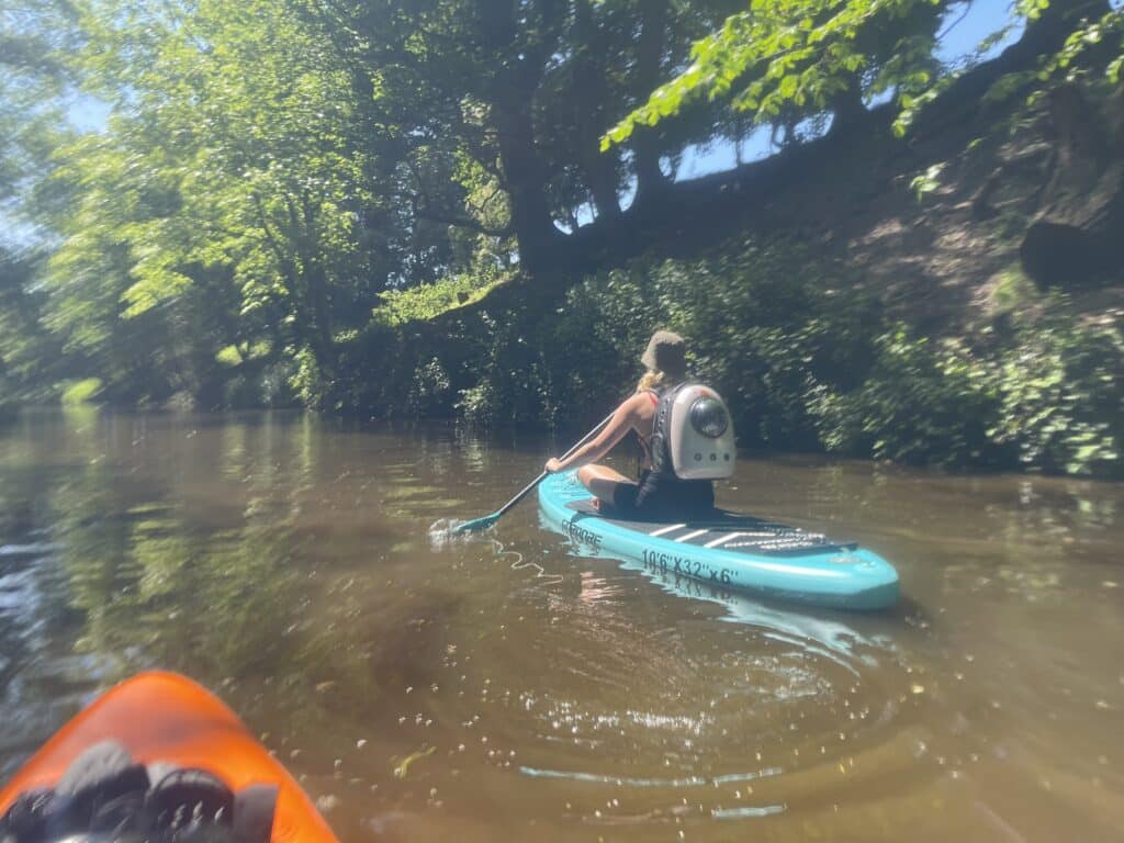 paddle boarding